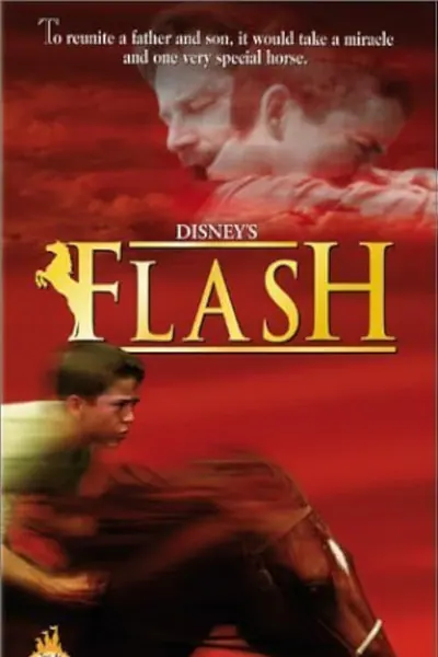 Pôster de Meu Amigo Flash