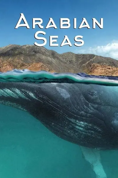 Pôster da série Os Mares da Arabia
