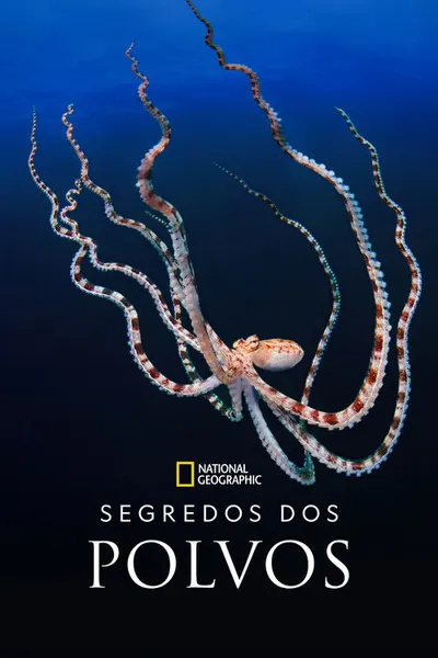 Segredos dos Polvos