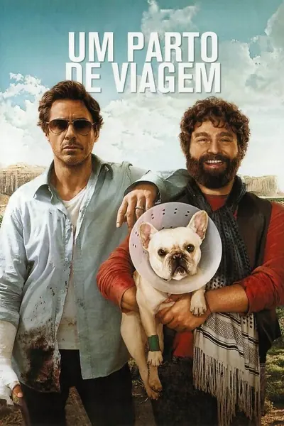 Um Parto de Viagem (2010)