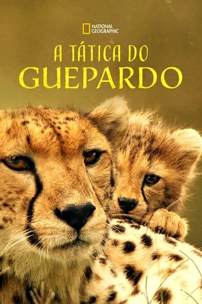 Pôster de A Tatica do Guepardo