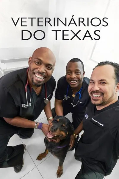 Pôster da série Veterinarios do Texas