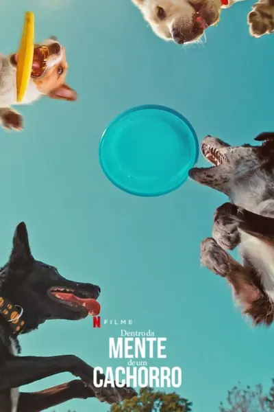 Dentro da Mente de um Cachorro (2024) LEG