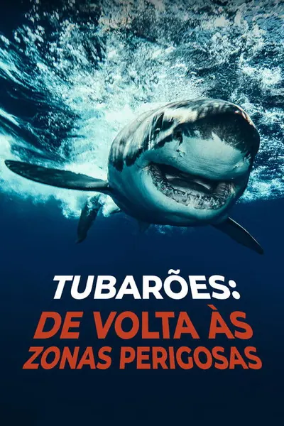 Zona De Tubarões
