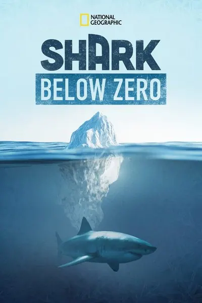 Pôster de Shark Below Zero