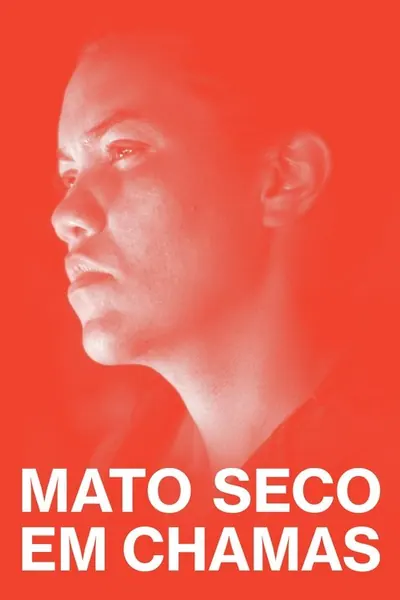 Pôster de Mato Seco em Chamas (2023)