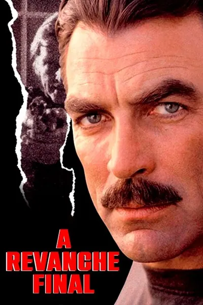 Pôster de A Revanche Final