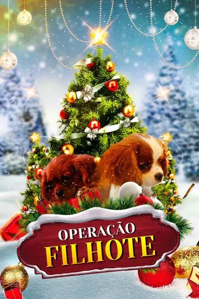 Operação Filhote (2019) LEG