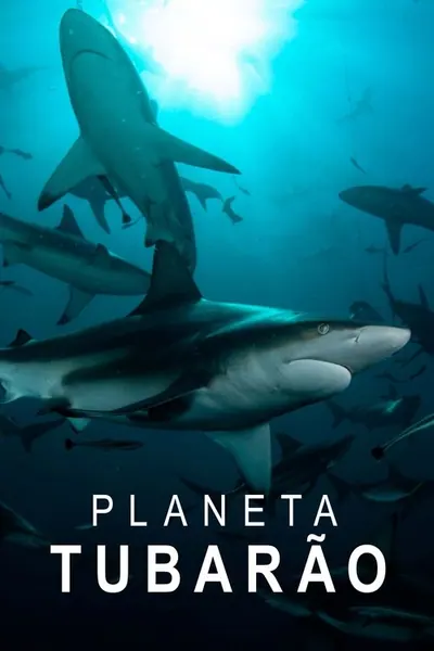 Pôster da série Planeta Tubarao