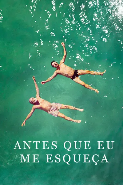 Antes Que Eu Me Esqueça (2017)