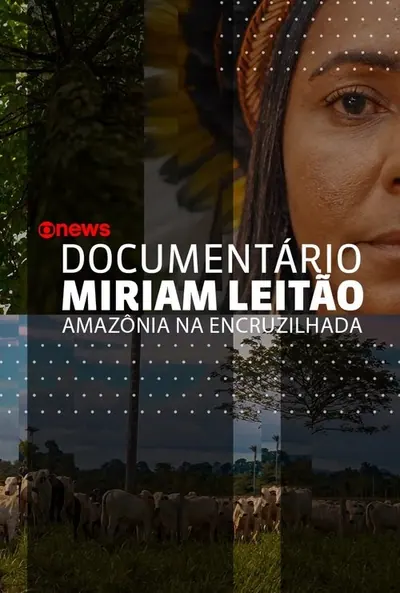 Pôster de Amazônia na Encruzilhada
