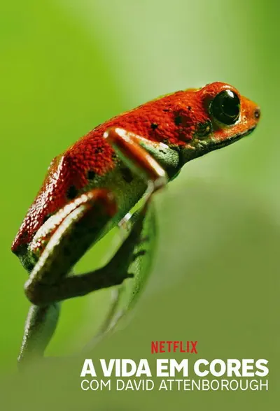 Pôster da série A Vida em Cores com David Attenborough