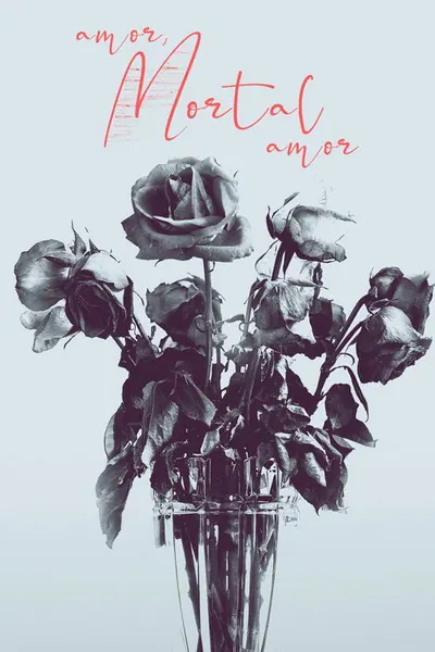 Amor Mortal Amor