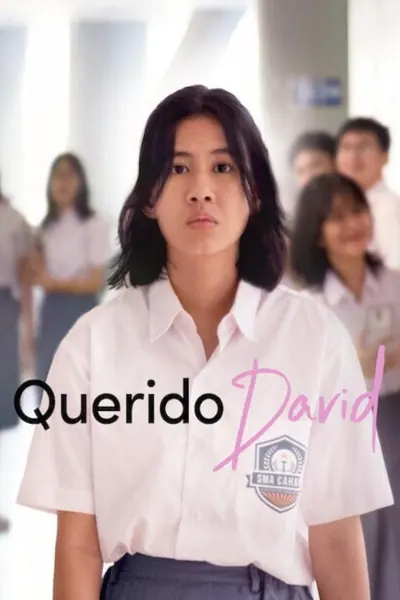 Pôster de Querido David (2023)
