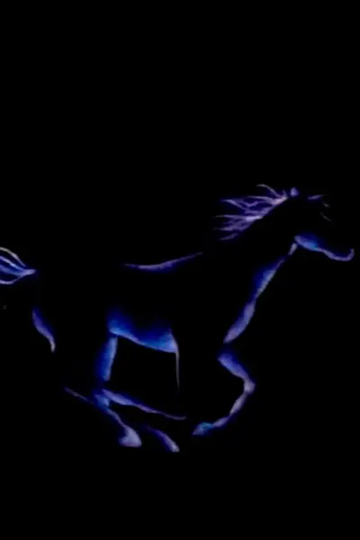 Pôster de Noturno (1986)