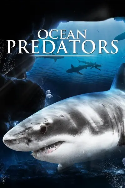 Pôster de Predadores Perigosos - Os Mais Temidos Dos Oceanos