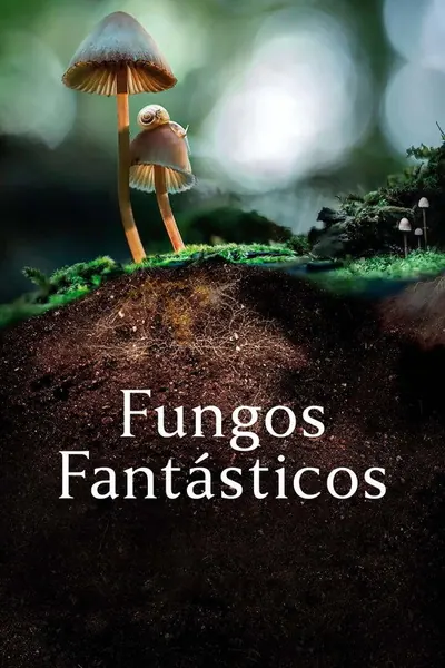 Fungos Fantasticos