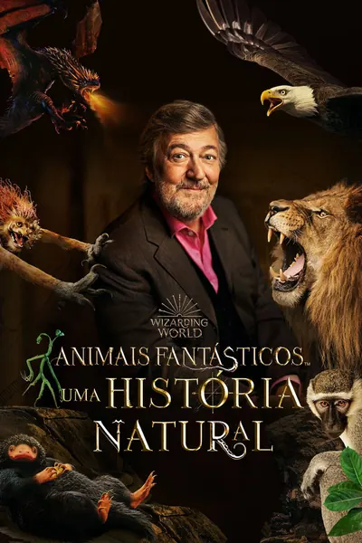 Pôster de Animais Fantásticos Uma História Natural (2022)