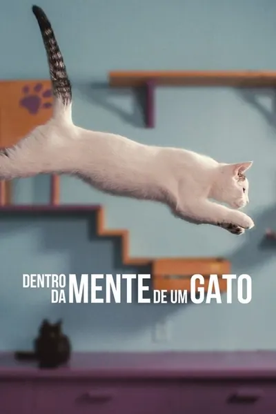 Pôster de Dentro da Mente de um Gato