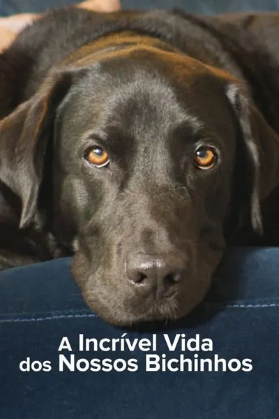 Pôster da série A Incrível Vida dos Nossos Bichinhos