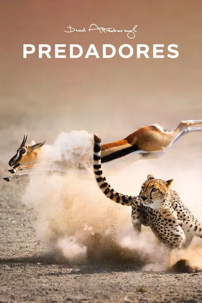 Pôster da série Predadores