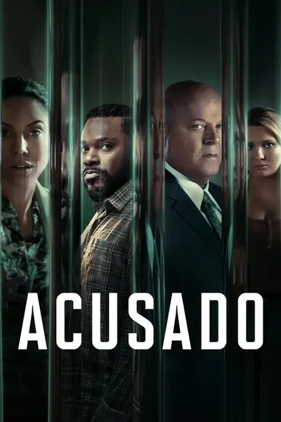 Pôster da série Acusado