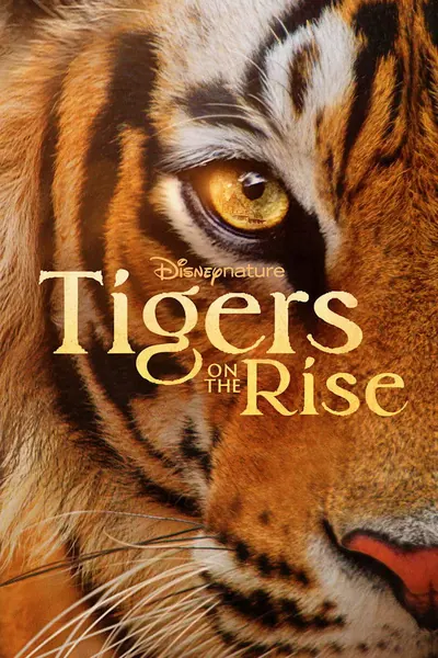 Tigres em Ascensão (2024) LEG
