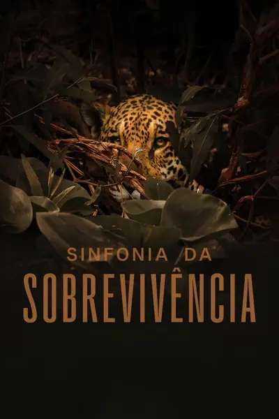 Pôster de Sinfonia da Sobrevivência (2024)