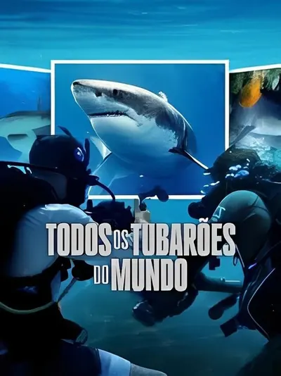 Todos os Tubaroes do Mundo