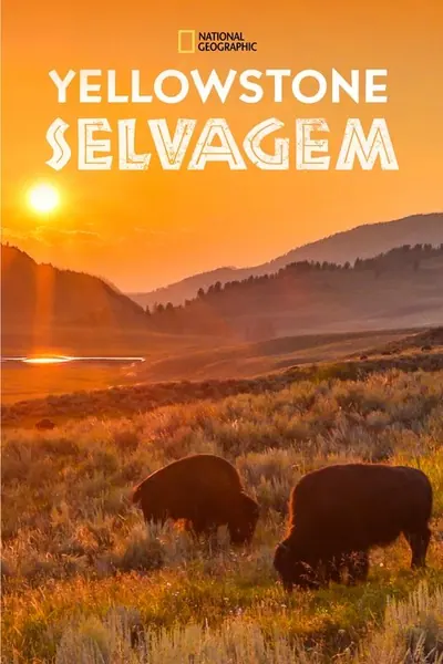 Pôster da série Yellowstone Selvagem
