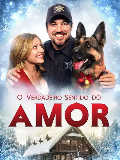 Pôster de O Verdadeiro Sentido do Amor
