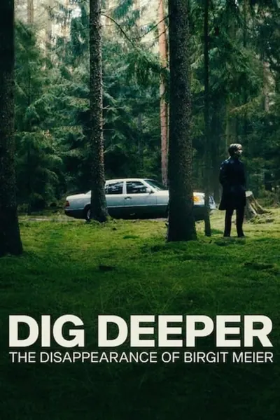 Pôster da série O Desaparecimento de Birgit Meier