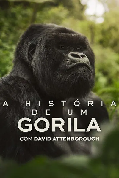 Pôster de A História de Um Gorila com David Attenborough (2026) 4K