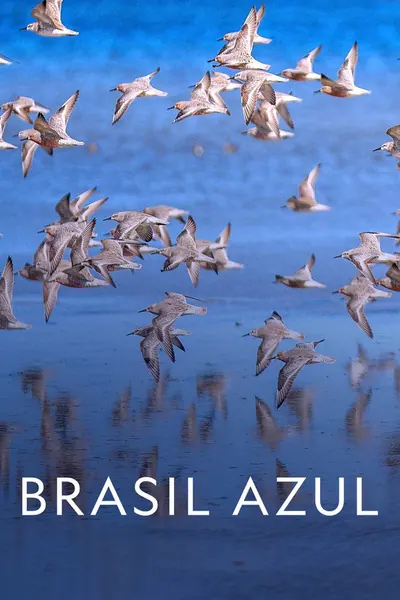 Brasil Azul (2022) 4K