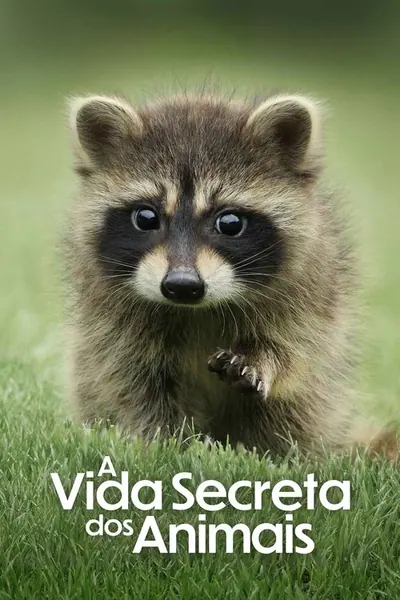 Pôster da série A Vida Secreta dos Animais