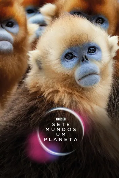 Sete Mundos Um Planeta
