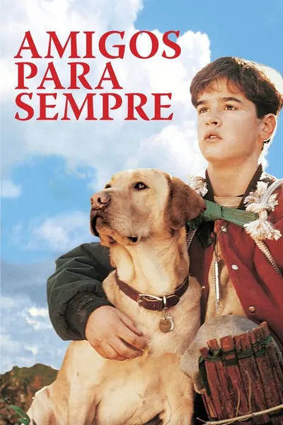Pôster de Amigos para Sempre (1995)