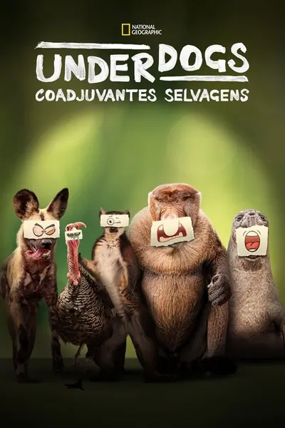 Pôster da série Underdogs Coadjuvantes Selvagens
