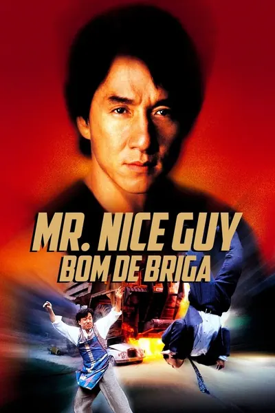 Mr. Nice Guy: Bom de Briga (1997)
