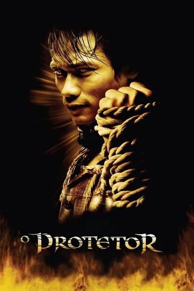O Protetor (2005)