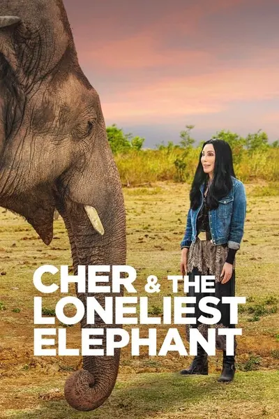 Pôster de Cher e o Elefante Solitário