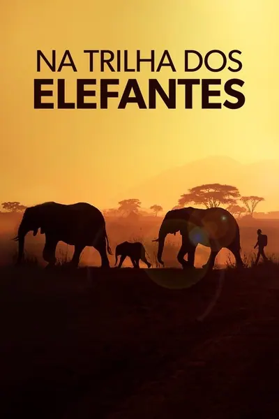Pôster da série Na Trilha dos Elefantes