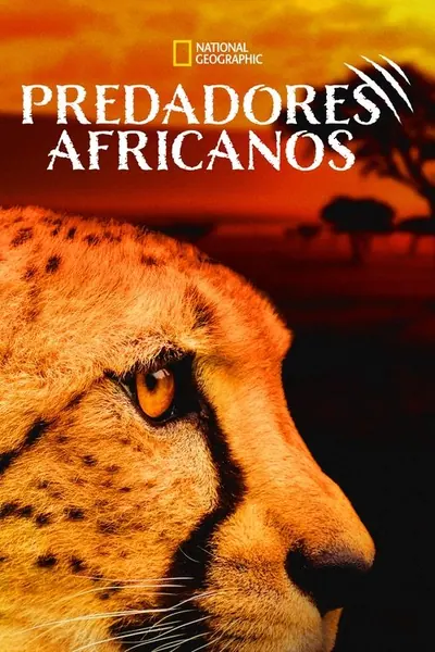 Pôster da série Predadores Africanos