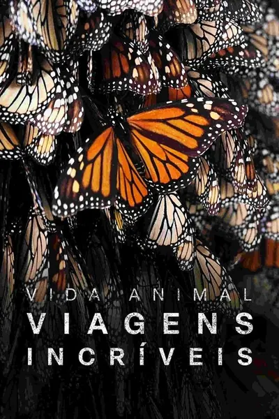 Pôster da série As Mais Incriveis Viagens de Animais