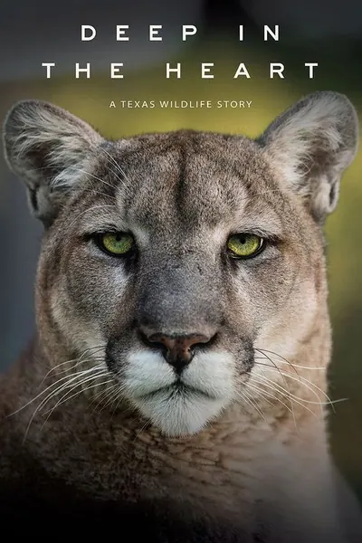 Pôster de No Fundo do Coracao - Uma Historia de Vida Selvagem do Texas - 2022 (L)
