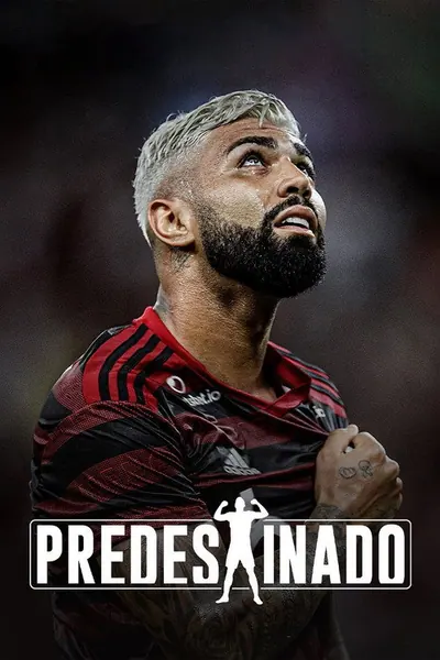 Pôster da série Predestinado