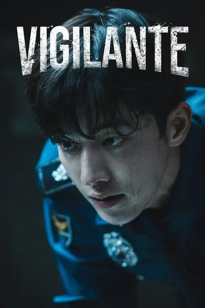 Pôster da série Vigilante