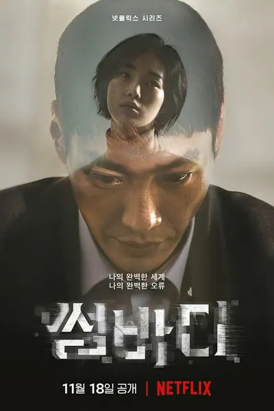 Pôster da série Somebody