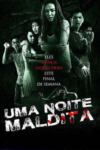 Pôster de Uma Noite Maldita (2013)
