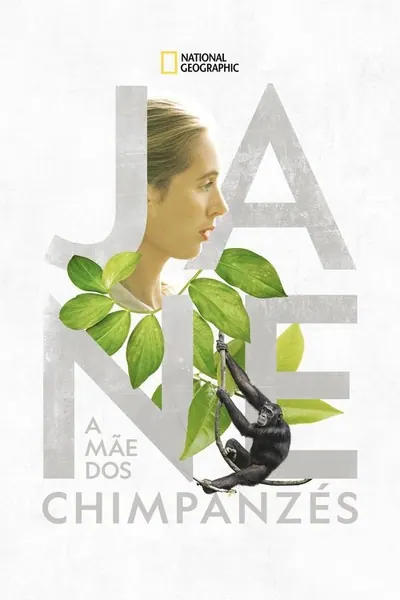 Pôster de Jane A Mae dos Chimpanzes